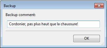 ../_images/window-backup-comment.png